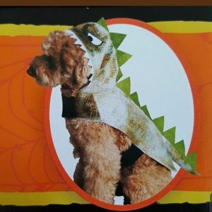 NEW Dog Dinosaur Halloween Costume  size Small